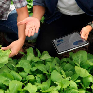digitalización en el sector agroalimentario