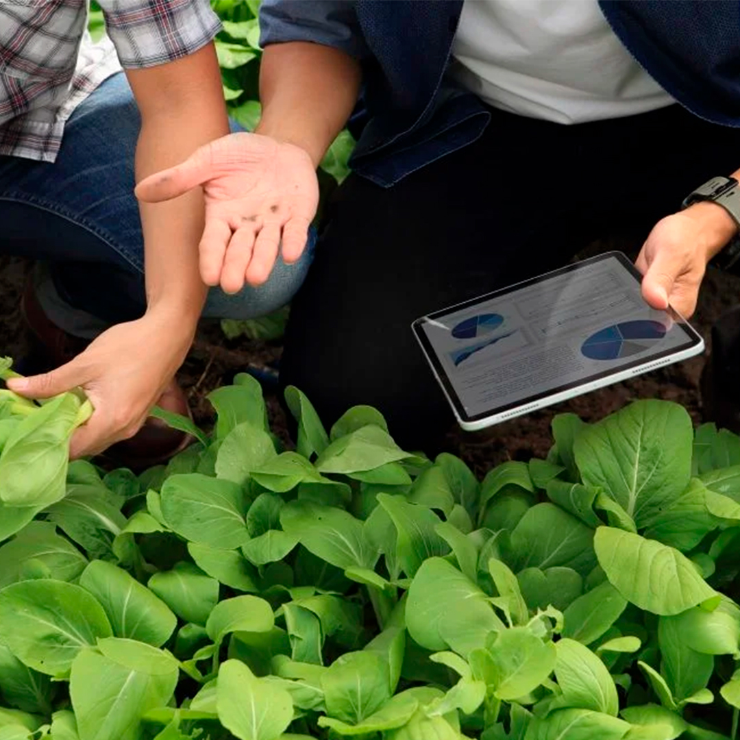 Digitalización en el sector agroalimentario. ¿Por qué es su asignatura ...